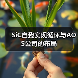 SiC自我实现循环与AOS公司的布局(图1) SiC自我实现循环与AOS公司的布局(图1)