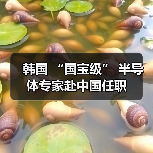 韩国 “国宝级” 半导体专家赴中国任职(图4) 韩国 “国宝级” 半导体专家赴中国任职(图4)