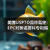 美国USPTO最终裁定:EPC对英诺赛科专利指控并无根据,属恶意竞争行为(图3) 美国USPTO最终裁定:EPC对英诺赛科专利指控并无根据,属恶意竞争行为(图3)