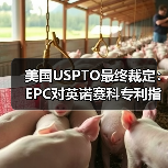 美国USPTO最终裁定:EPC对英诺赛科专利指控并无根据,属恶意竞争行为(图2) 美国USPTO最终裁定:EPC对英诺赛科专利指控并无根据,属恶意竞争行为(图2)