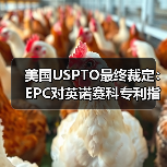 美国USPTO最终裁定:EPC对英诺赛科专利指控并无根据,属恶意竞争行为(图4) 美国USPTO最终裁定:EPC对英诺赛科专利指控并无根据,属恶意竞争行为(图4)