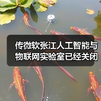 传微软张江人工智能与物联网实验室已经关闭（图1）