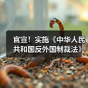 官宣!实施《中华人民共和国反外国制裁法》(图2) 官宣!实施《中华人民共和国反外国制裁法》(图2)