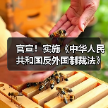 官宣!实施《中华人民共和国反外国制裁法》(图3) 官宣!实施《中华人民共和国反外国制裁法》(图3)