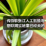 传微软张江人工智能与物联网实验室已经关闭（图4）