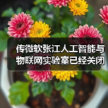 传微软张江人工智能与物联网实验室已经关闭（图3）