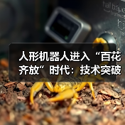人形机器人进入“百花齐放”时代:技术突破与市场竞速下的机遇与挑战(图3) 人形机器人进入“百花齐放”时代:技术突破与市场竞速下的机遇与挑战(图3)