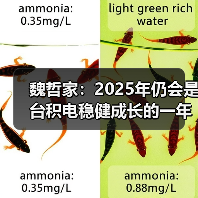 魏哲家：2025年仍会是台积电稳健成长的一年（图3）