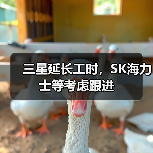 三星延长工时，SK海力士等考虑跟进（图2）
