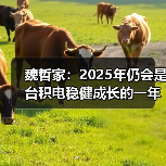 魏哲家：2025年仍会是台积电稳健成长的一年（图4）