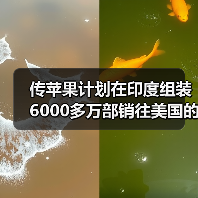 传苹果计划在印度组装6000多万部销往美国的iPhone（图1）