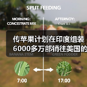 传苹果计划在印度组装6000多万部销往美国的iPhone（图2）