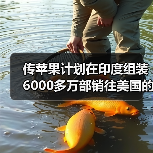 传苹果计划在印度组装6000多万部销往美国的iPhone（图4）