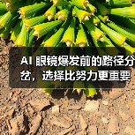 AI 眼镜爆发前的路径分岔，选择比努力更重要（图4）