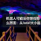 机器人可能没你想得那么厉害:从Intel大小脑融合思路谈起(图1) 机器人可能没你想得那么厉害:从Intel大小脑融合思路谈起(图1)