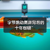 字节跳动高薪背后的“十年枷锁”（图4）