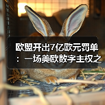 欧盟开出7亿欧元罚单：一场美欧数字主权之争（图3）