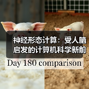 神经形态计算：受人脑启发的计算机科学新前沿（图4）