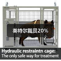英特尔裁员20%（图1）