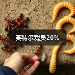 英特尔裁员20%（图3）