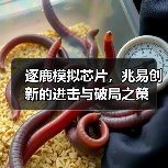 逐鹿模拟芯片，兆易创新的进击与破局之策（图4）