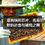 逐鹿模拟芯片，兆易创新的进击与破局之策（图1）