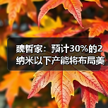 魏哲家：预计30%的2纳米以下产能将布局美国亚利桑那州（图2）