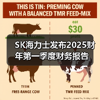 SK海力士发布2025财年第一季度财务报告（图2）