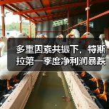 多重因素共振下，特斯拉第一季度净利润暴跌71%！（图4）