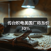 传台积电美国厂将涨价30%（图1）
