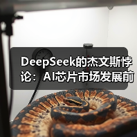 DeepSeek的杰文斯悖论:AI芯片市场发展前瞻(图2) DeepSeek的杰文斯悖论:AI芯片市场发展前瞻(图2)