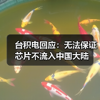 台积电回应:无法保证芯片不流入中国大陆(图4) 台积电回应:无法保证芯片不流入中国大陆(图4)