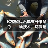 欧盟暂停汽车碳纤维禁令：一场技术、环保与利益的动态博弈（图2）