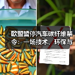 欧盟暂停汽车碳纤维禁令：一场技术、环保与利益的动态博弈（图4）