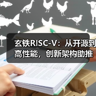 玄铁RISC-V：从开源到高性能，创新架构助推算力产业新篇章（图2）