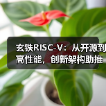 玄铁RISC-V：从开源到高性能，创新架构助推算力产业新篇章（图3）