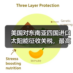 美国对东南亚四国进口太阳能征收关税,最高达 3521%(图4) 美国对东南亚四国进口太阳能征收关税,最高达 3521%(图4)