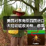 美国对东南亚四国进口太阳能征收关税,最高达 3521%(图3) 美国对东南亚四国进口太阳能征收关税,最高达 3521%(图3)