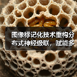 图像标记化技术重构分布式神经级联,赋能多模态AI设备(图4) 图像标记化技术重构分布式神经级联,赋能多模态AI设备(图4)