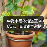 中微半导体增资至 40 亿元,注册资本激增 300%(图1) 中微半导体增资至 40 亿元,注册资本激增 300%(图1)