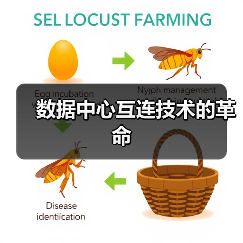 数据中心光互连转型：铜到光的带宽困局与技术创新