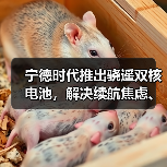 宁德时代推出骁遥双核电池，解决续航焦虑、安全等核心痛点（图4）