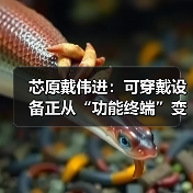 芯原戴伟进：可穿戴设备正从“功能终端”变成 “AI 交互新入口”（图2）
