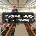 芯原戴伟进：可穿戴设备正从“功能终端”变成 “AI 交互新入口”（图3）