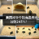 美国对华个别商品关税加到245%！（图4）