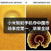 小米智能手机夺中国市场季度第一，苹果全球季增10%难阻滑铁卢（图2）