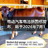 电动汽车电池新国标发布,将于2026年7月1日施行(图3) 电动汽车电池新国标发布,将于2026年7月1日施行(图3)