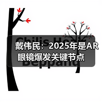 戴伟民:2025年是AR 眼镜爆发关键节点(图1) 戴伟民:2025年是AR 眼镜爆发关键节点(图1)