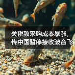 关税致采购成本暴涨，传中国暂停接收波音飞机（图3）