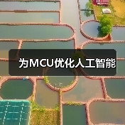 为MCU优化人工智能（图1）